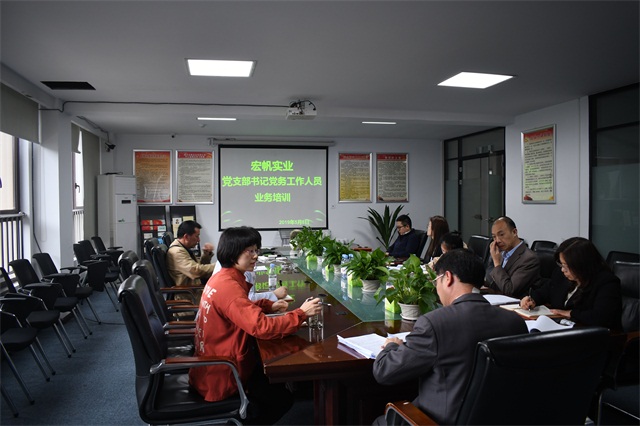 宏帆集團黨委 組織開(kāi)展黨務(wù)工作人員業(yè)務(wù)培訓.jpg